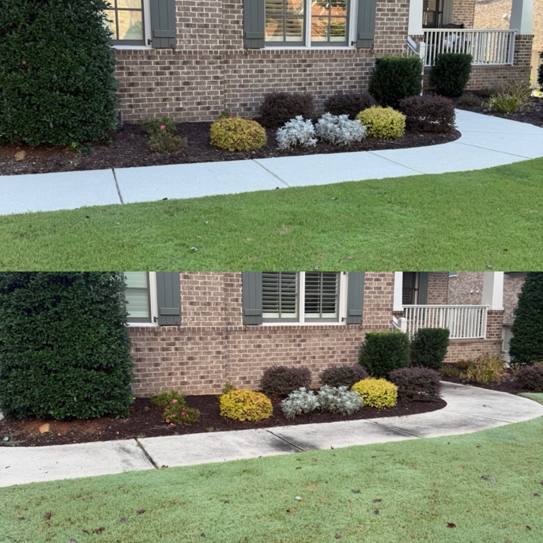 Before and after cleaning a front walkway beside the landscaping by KM Property Restorations in Marietta